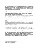 Los tipos de organización, las estructuras organizacionales, procesos de negocios