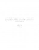 La Auditoría de Gestión al colegio Adventista Túpac Amaru en la ciudad de Juliaca