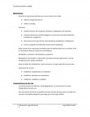 Metabolismo Funciones