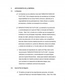 COMO SE DA LOS ANTECEDENTES DE LA EMPRESA