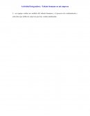 Analisis de las areas funcionales de una empresa