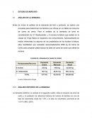 ESTUDIO DE MERCADO Analisis de demanda