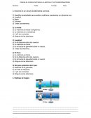 PRUEBA DE CIENCIAS NATURALES LA MATERIA Y SUS TRANSFORMACIONES