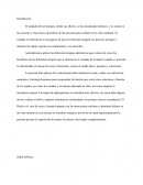 Terapias. Salud holística