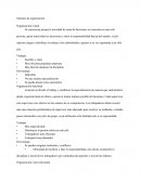 Sistemas de organización Organización Lineal e otras