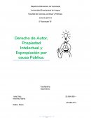 Derecho de Autor, Propiedad Intelectual y Expropiación por causa Pública