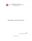 Derecho Constitucional. Principios Constitucionales