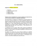 Historia del Perú y los ayllus.