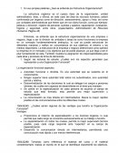 En sus propias palabras ¿Qué se entiende por Estructura Organizacional?