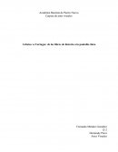 Artistas vs Tortugas: de los libros de historia a la pantalla chica