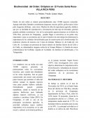 Biodiversidad del Orden: Ortóptera en El Fundo Santa Rosa