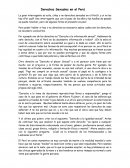 Derechos Sexuales en el Perú