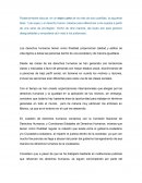 Como se da la Finalidad de los derechos humanos