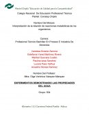 Interpretación de la relación de reacciones metabólicas de los organismos