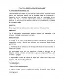 Práctica Observación de minerales