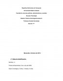 Informe del área cognoscitivo, social, lenguaje