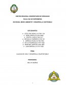 SOCIEDAD, MEDIO AMBIENTE Y DESARROLLO SOSTENIBLE
