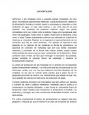 Ensayo sobre las hortalizas