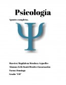 Psicología - Apuntes completos