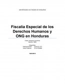 Organizaciones No Gubernamentales que defienden los Derechos Humanos en Honduras
