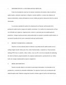 DESCRIPCIÓN DE LA NECESIDAD INSATISFECHA