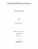 Cadena de valor PROMARISCO S.A