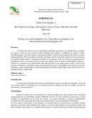 Resumen de dormipass