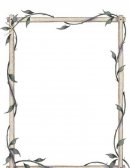 ESTUDIO DE MERCADO DE LA FLORISTERIA DLIRIOS