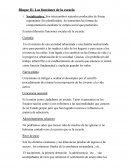 Las funciones de la escuela