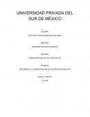 RESUMEN DE LA ADMINISTRACIÓN DE RECURSOS MATERIALES