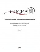 Trabajo final: Proyecto de Investigación.