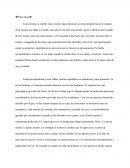 Ensayo de Quiero besar tu sonrisa