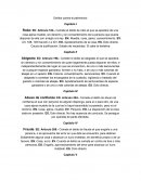 Delitos contra el patrimonio Capítulo I,II etc