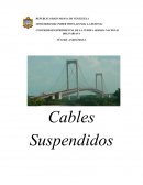 Los cables son elementos en el que cada sección del mismo solo trabaja a tensión y que gracias a su simplicidad