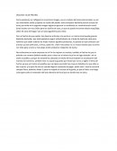 Como podemos ver reflejado en la primera imagen, ese es el plano del local seleccionad