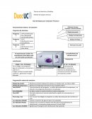 El autoclave para realizar los procedimientos de esterilización inicial debe estar ubicado entre la área de lavado y producción