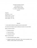 Ensayo sobre la proteccion Seguridad e higiene