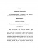 Son todos aquellos aspectos y características de gran importancia, que tiene la comunidad Las Margaritas. Entre ellasestán: