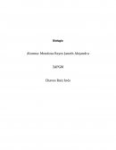 Cuestionario resuelto de Biología