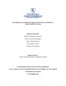 ESTUDIO DE LAS NORMAS INTERNACIONALES DE AUDITORIA Y ASEGURAMIENTO (NIAS)