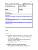 Evidencia de la Aplicación de la Cadena de Suministros