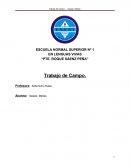 Intervenciones Docentes. Trabajo de Campo.