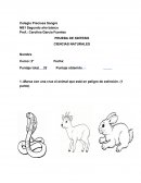 Prueba de síntesis ciencias naturales