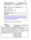 Cuidado y tratamiento nutricio en distintas patologías.