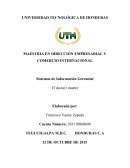 Trabajo de Sistemas de Información Gerencial