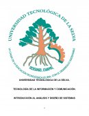 INTRODUCCIÓN AL ANÁLISIS Y DISEÑO DE SISTEMAS