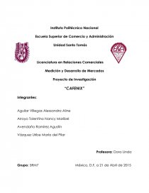 Proyecto de Investigación “CAFENIX”. Página 1