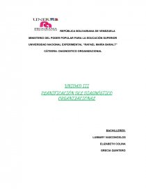 OBJETIVOS DEL DIAGNÓSTICO ORGANIZACIONAL. Página 1