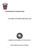 Ingeniería de software. desarrollo de una aplicación para Windows que permita resolver problemáticas diarias de usuario