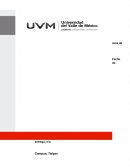 Mapa conceptual de gestión de procesos de producción o producción ajustada